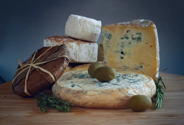 Käse und Oliven Zusammensetzung — Stockfoto