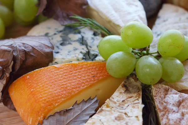 Various types of cheese — Stock Photo, Image