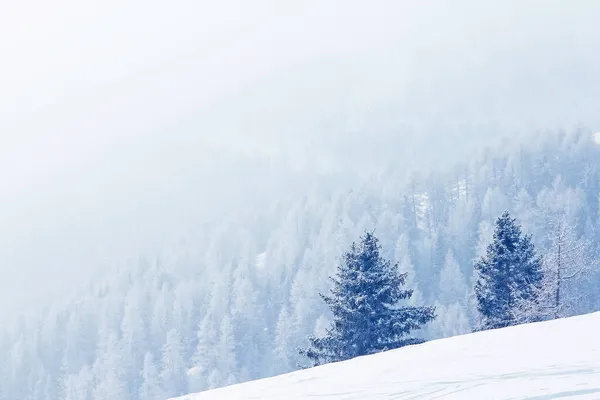 奥地利索尔登滑雪胜地雪景秀丽的冬季山林 — 图库照片