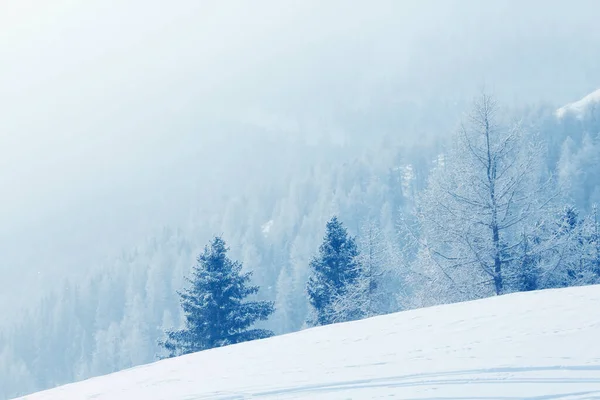 Hiver Forêt Montagne Dans Neige Beau Paysage Dans Station Ski — Photo