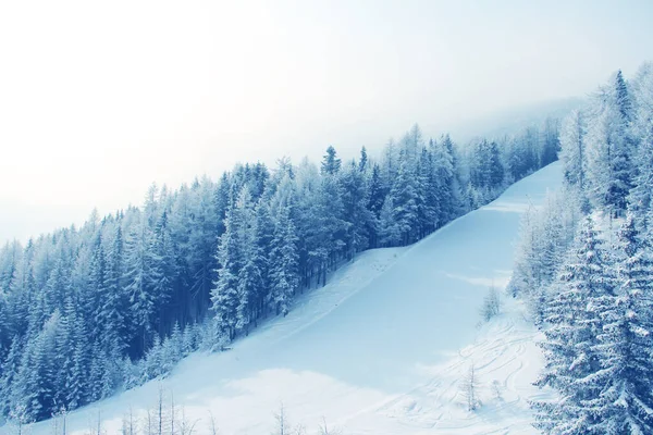 奥地利索尔登山阿尔卑斯山滑雪斜坡度假胜地冬季体育度假 — 图库照片