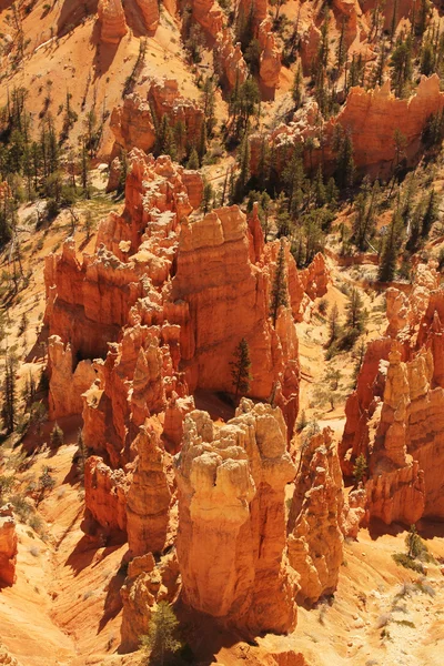Detail bryce canyon — Stock fotografie