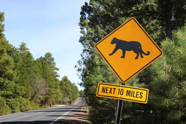 Puma road sign — Stock Photo, Image