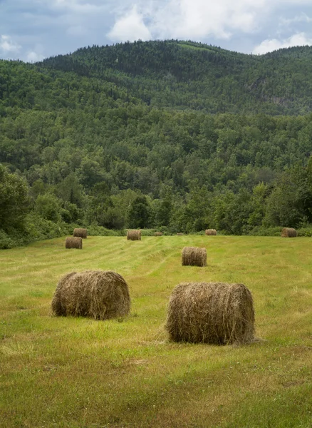 Hay balls — Stock Photo, Image