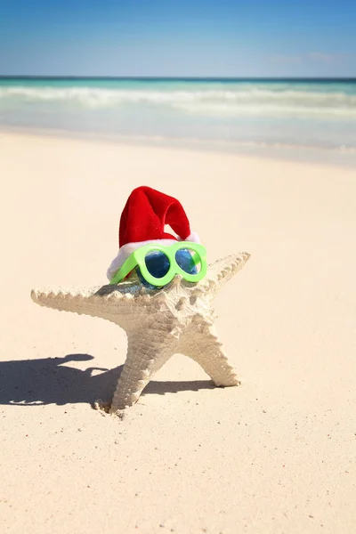 Морская звезда в очках и шляпе — стоковое фото