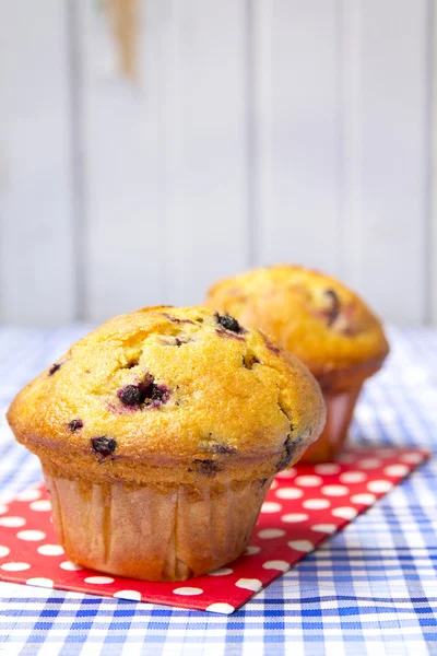 Iki blueberry muffins — Stok fotoğraf