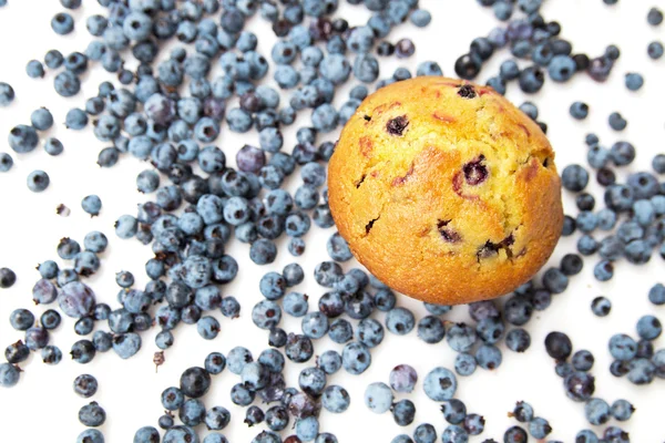 Muffin de arándanos —  Fotos de Stock