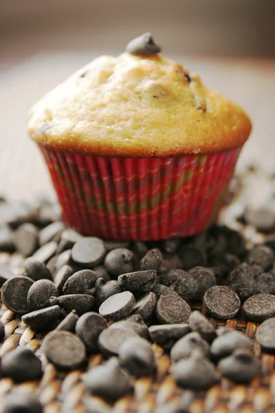 Čokoládový muffin — Stock fotografie