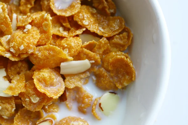 Cereales — Foto de Stock