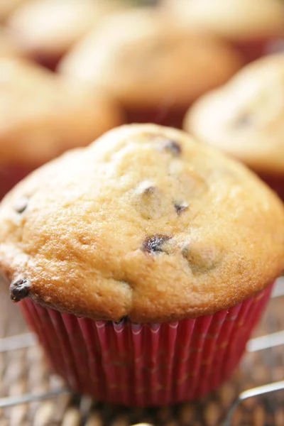 Borůvkový muffin — Stock fotografie