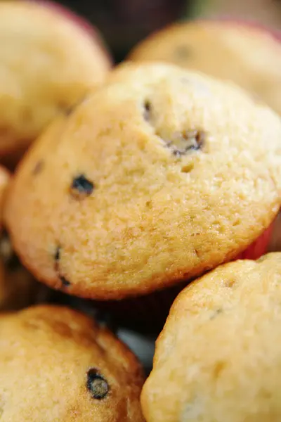 Borůvkový muffin — Stock fotografie