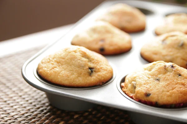 Muffins en una sartén — Foto de Stock