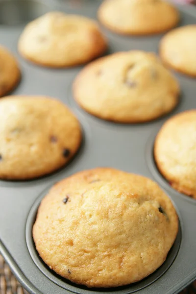 Muffins in een pan — Stockfoto