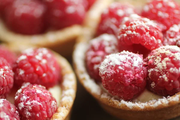 Himbeerkuchen — Stockfoto