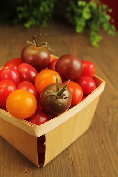 Tomate cereza —  Fotos de Stock