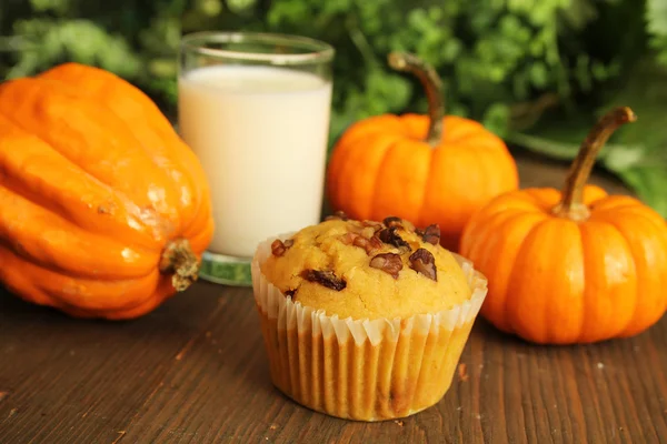 Pumpa muffin — Stockfoto