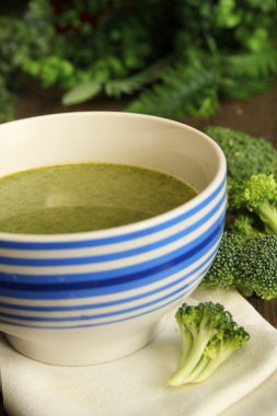 brocoli çorbası