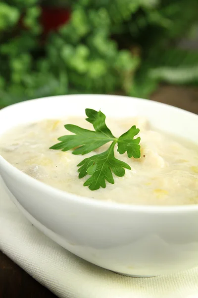 Leek and potato soup Stock Image