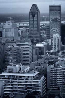Montreal şehri