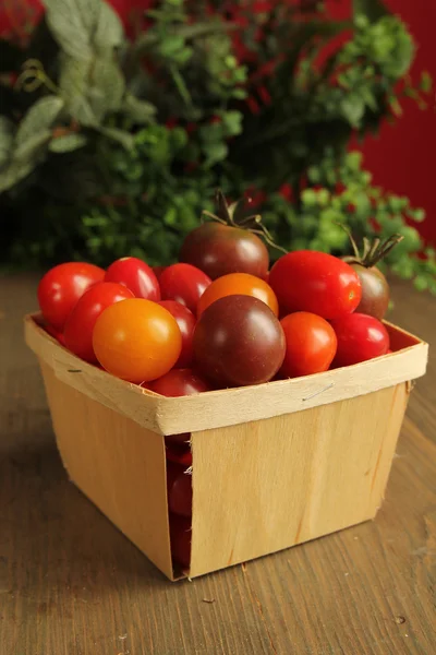 Tomate cereza —  Fotos de Stock