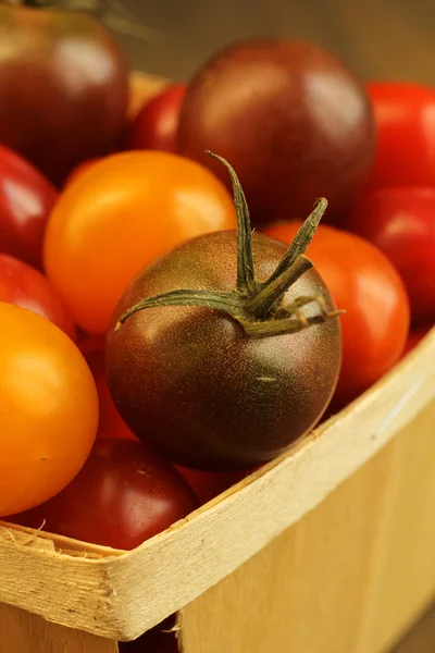 Tomate cereza —  Fotos de Stock