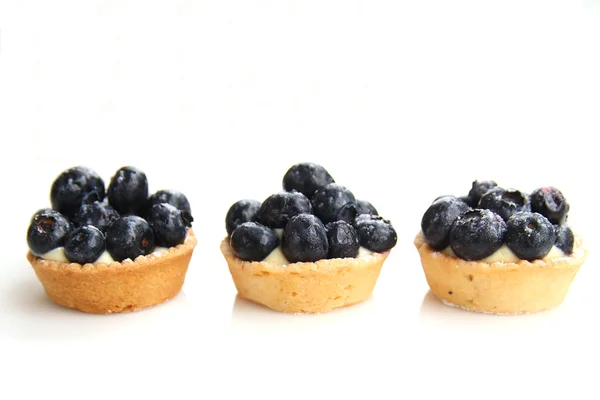 Blueberry tarts — Stock Photo, Image