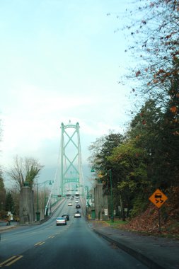 Bridge on Vancouver island clipart