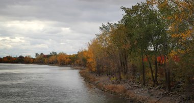 bir ağaç bir nehir yansıma güzel ve renkli bir sonbahar günü tarafından