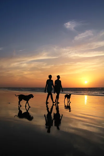 On the beach — Stock Photo, Image