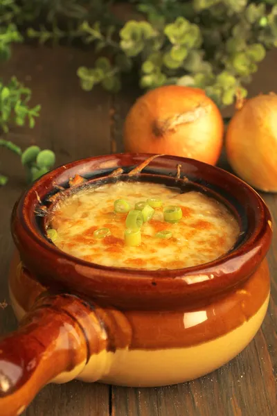 French onion soup — Stock Image French onion soup Stock Picture