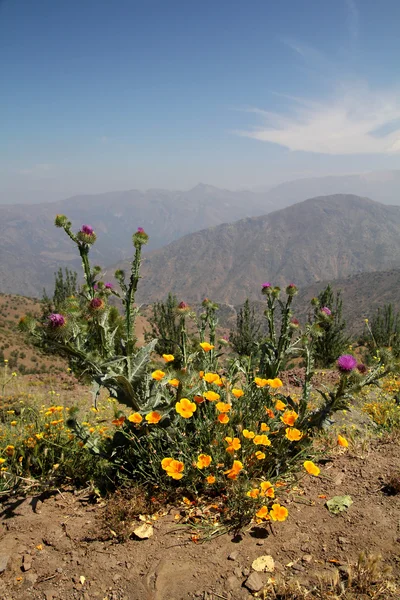 Cordilheiras dos Andes — Fotografia de Stock