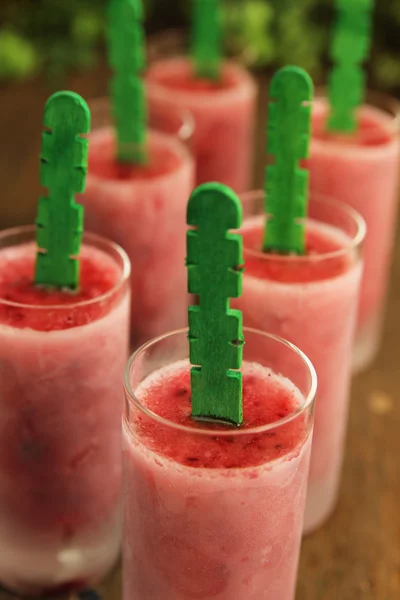 Handgjorda popsicle — Stockfoto