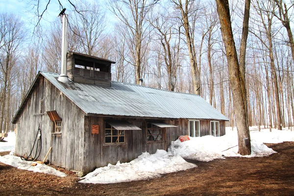 Цукор shack — стокове фото