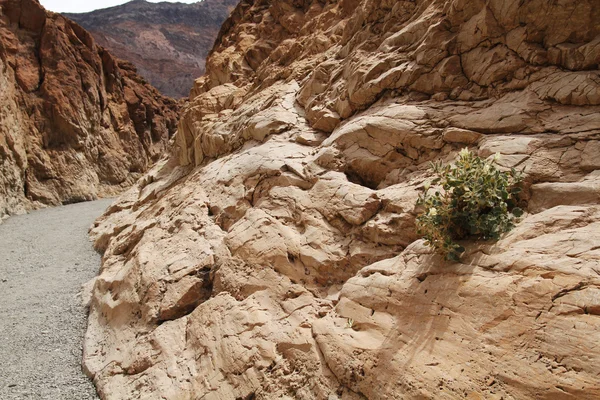 Mozaika kaňon, údolí smrti — Stock fotografie
