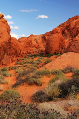 Valley of Fire