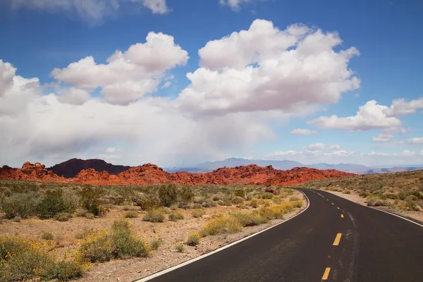 Estrada em um deserto — Fotografia de Stock