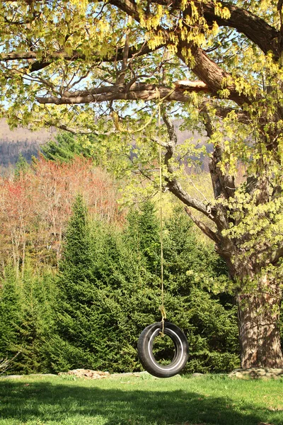 Reifenwechsel — Stockfoto