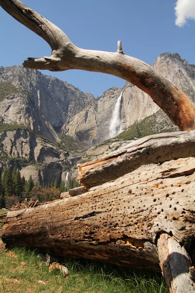 Cascate di Yosemite — Foto Stock