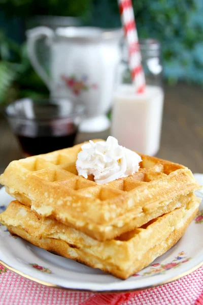 Two waffles — Stock Photo, Image