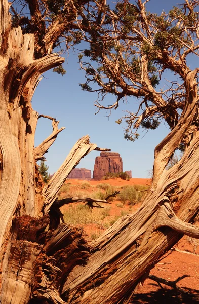 Paisagem do deserto — Fotografia de Stock