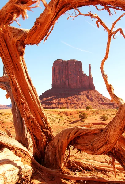 Paisagem do deserto — Fotografia de Stock