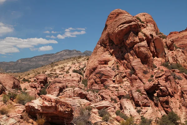 Red rock canyon — Stock Photo, Image