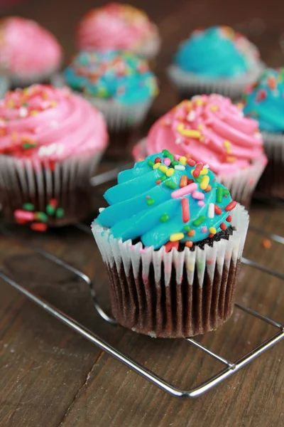 Blå och rosa cupcakes — Stockfoto