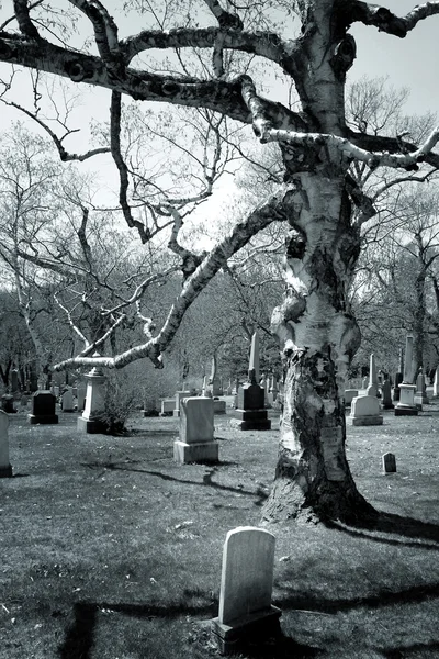 Cementerio — Foto de Stock