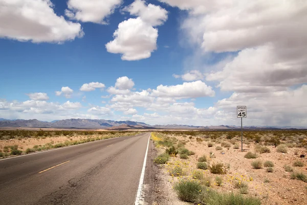 Road in a desert — Stock Photo, Image