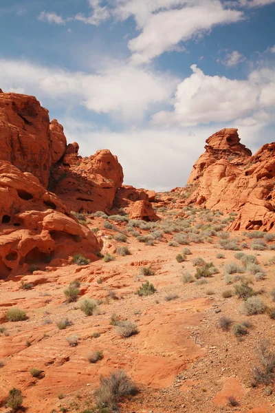 Valley of Fire — Stok fotoğraf