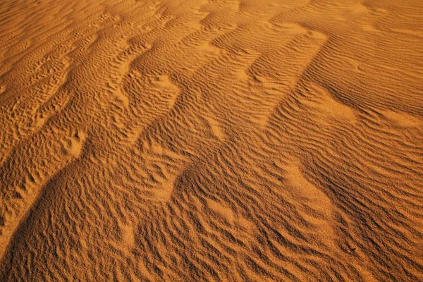 Dunas de arena — Stockfoto