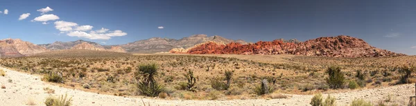 Red rock canyon — Stock Photo, Image