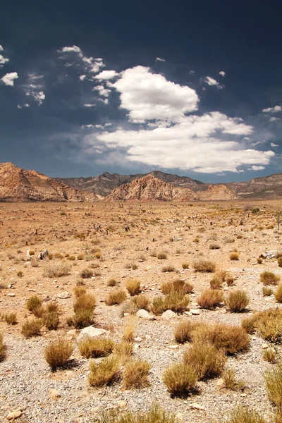 Red Rock Canyon — Stock fotografie