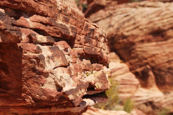 Desfiladeiro de Red Rock — Fotografia de Stock